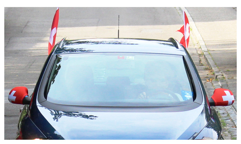 Car Window Flag